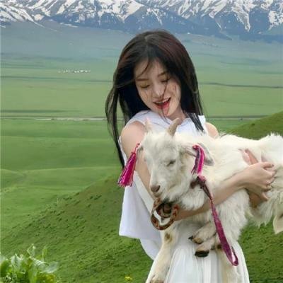结缘千万里 封面