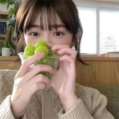 动物园先生 封面